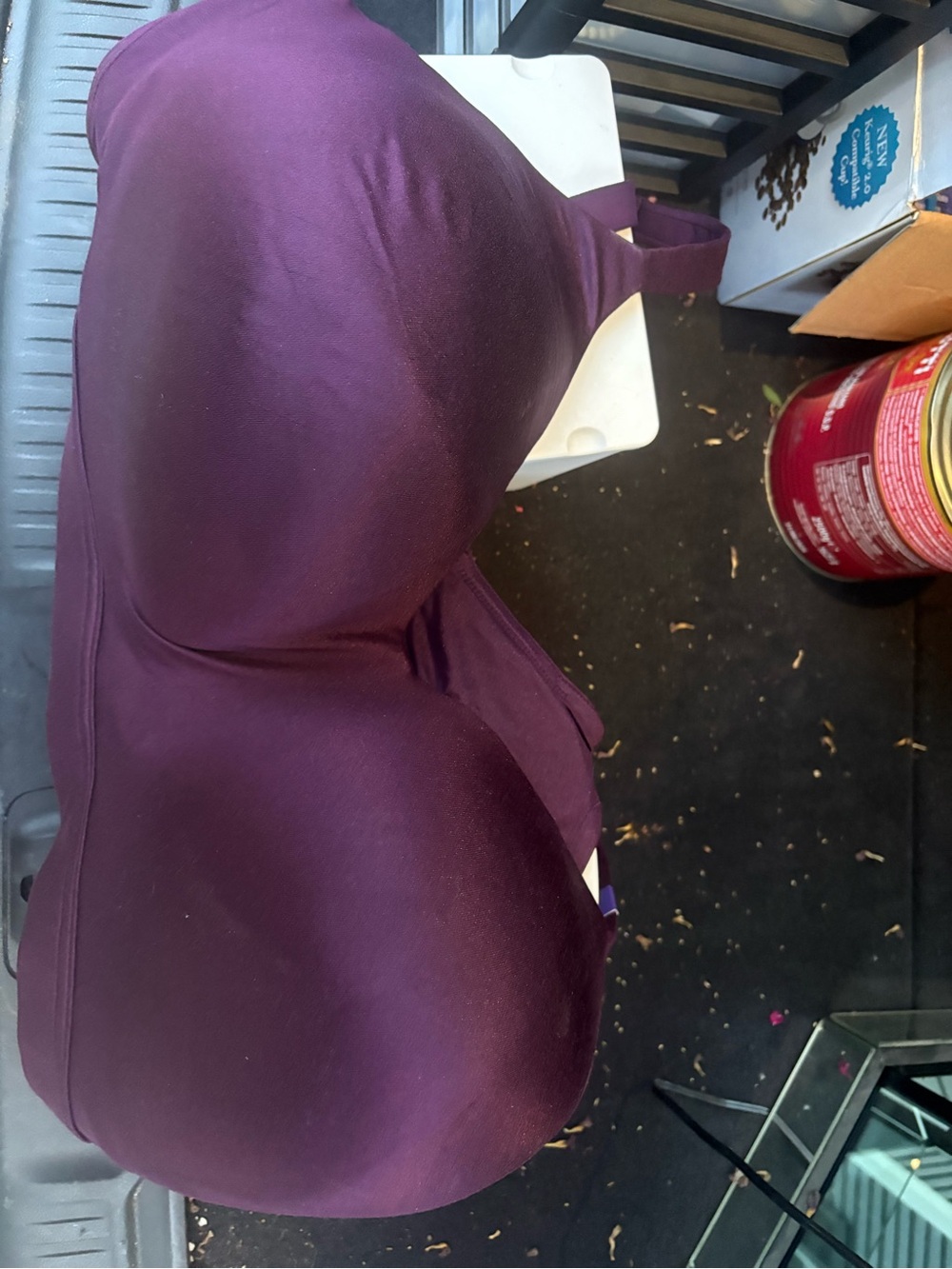 Catherines Plum Purple Smooth T-Shirt Bra